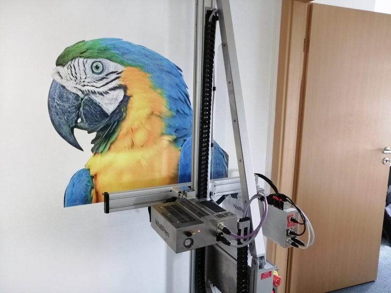 parrot wall printing